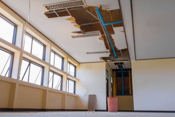 Best Fire Damage Restoration  in Oyster Creek, TX