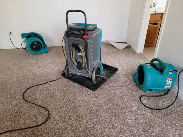 Best Commercial water damage restoration  in Oyster Creek, TX