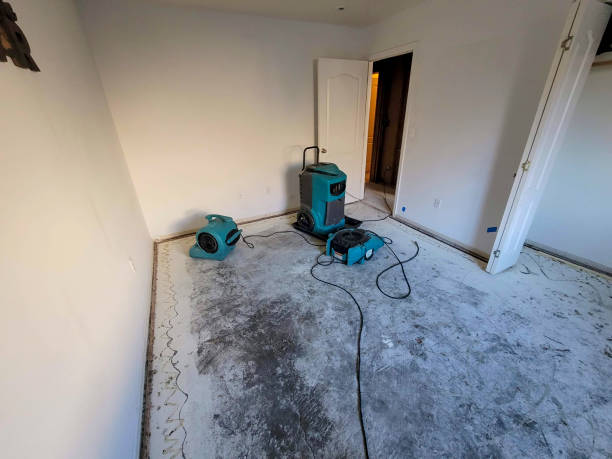 Best Carpet water damage restoration  in Oyster Creek, TX