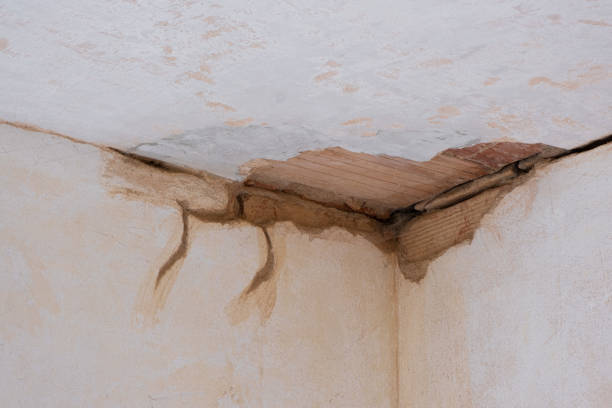 Best Ceiling water damage repair  in Oyster Creek, TX