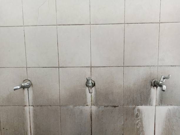 Best Local water damage restoration  in Oyster Creek, TX