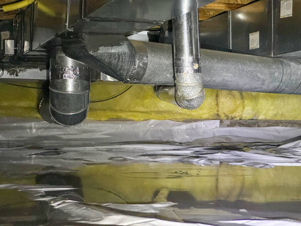 Best Mold removal after water damage  in Oyster Creek, TX