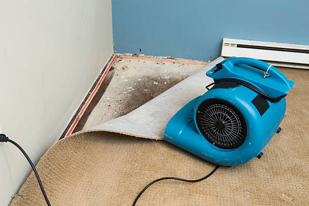 Best Mold removal after water damage  in Oyster Creek, TX
